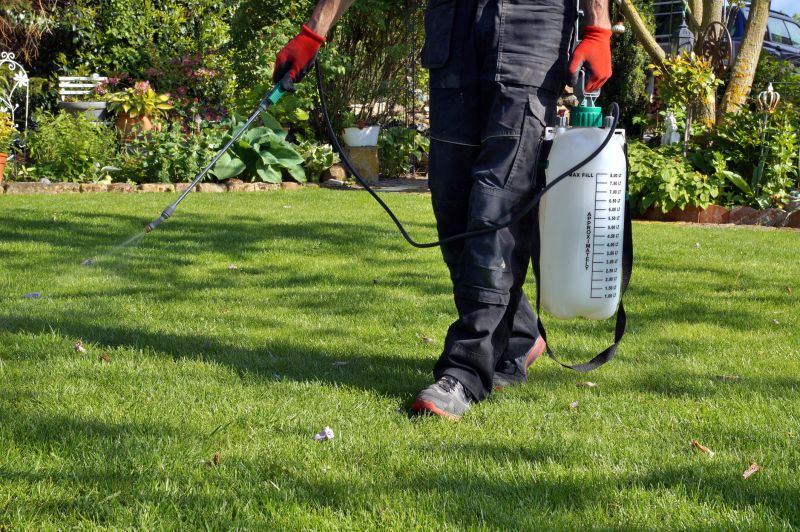 Lawn Weed Treatment Service